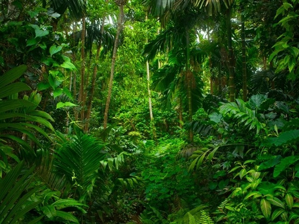 Togo environnement