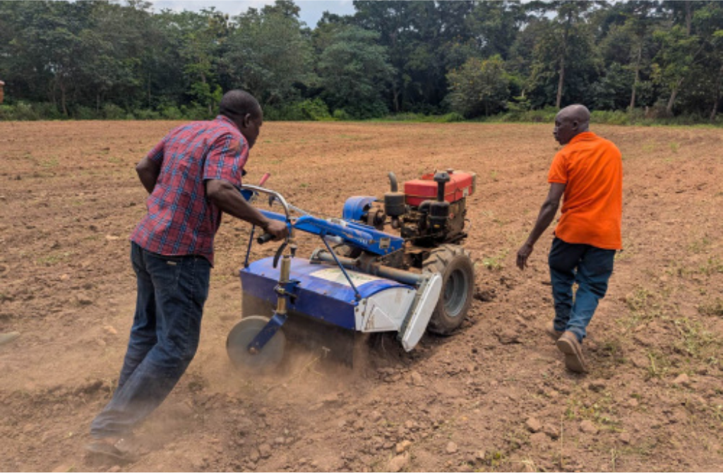 Togo agriculture