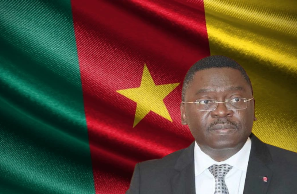 Ferdinand Ngoh ngoh cameroun