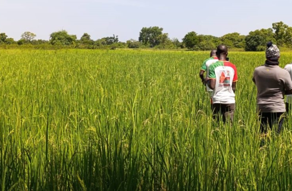 Burkina Faso
